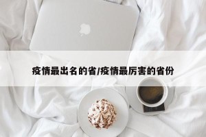 疫情最出名的省/疫情最厉害的省份
